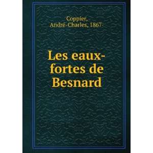  Les Eaux Fortes De Besnard Books