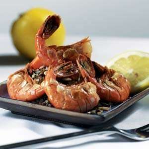 Four Packs Spot Shrimp  Grocery & Gourmet Food