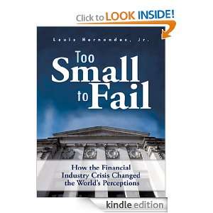 Too Small to Fail How the Financial Industry Crisis Changed the World 