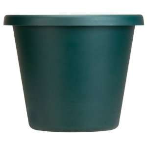  Akro Mils LIA06000B91 Classic Pot, Evergreen, 6 Inch 