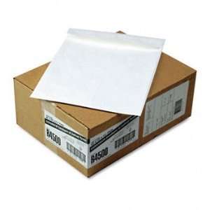   Expansion Mailer ENVELOPE,10X13,EXP,OPNEND (Pack of2)