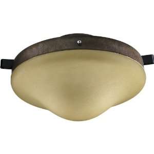 Quorum 1377 48 Patio Ceiling Fan Light Kit, Ancient Gold Finish with 