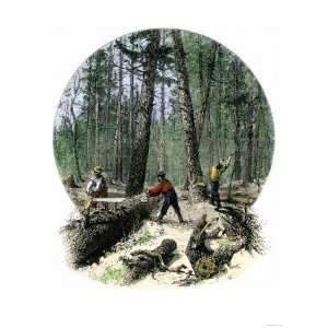   and Sawing Logs with a Two Man Saw, c.1860 Giclee Poster Print, 24x32