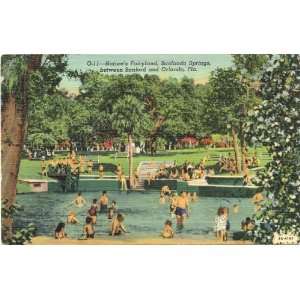 1940s Vintage Postcard Natures Fairyland, Sanlando Springs, located 