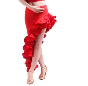  Womens Ballroom Latin Salsa Tango Swing Dance Skirt Clothing