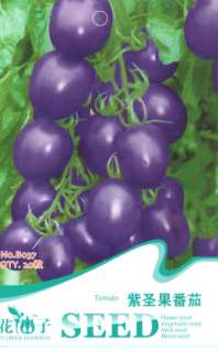 B037 Purple Tomato Seed Pack x20 Seeds  