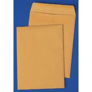    Seal Catalog Envelopes, 12 x 15.5 Inches, Kraft, 100 per Box (44067