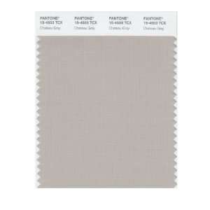  PANTONE SMART 15 4503X Color Swatch Card, Chateau Gray 