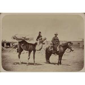  Tajik customs,funderal,body,camel,horse,burial,c1865