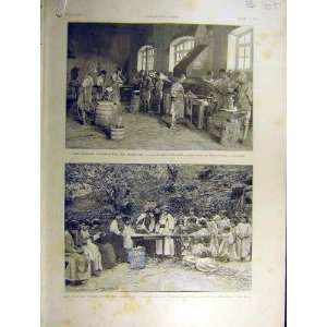   1891 French School Kabylie Children Taorist Beni Yenni