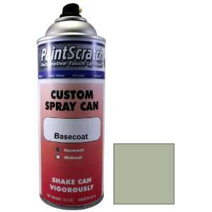  12.5 Oz. Spray Can of Yellowish Silver Metallic Touch Up 