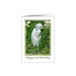  62nd Birthday Card with Immature Snowy Egret Card Toys 