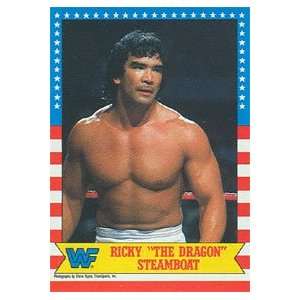 1987 WWF Topps Wrestling Stars Trading Card #21  Ricky The Dragon 