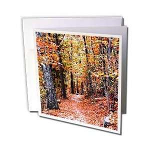 Lee Hiller Designs Painted Forests   Painted Forests Autumns Coral 