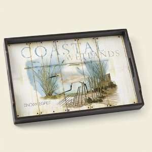 Coastal Wetland Shorebirds 18 x 12 inch Decorative Tray 