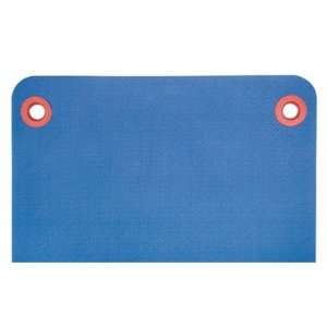  Essential Workout / Fitness Mat Color Aloe Sports 