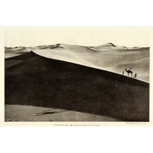 1922 Print Lehnert Landrock Sand Sahara Desert Landscape Camel Animal 