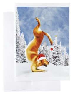   & NOBLE  Yoga Dogs Christmas Boxed Card by Fotofolio, Incorporated