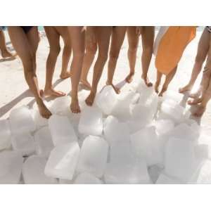 Bondi Icebergs Swimmers with Ice Blocks at their Feet Photographic 