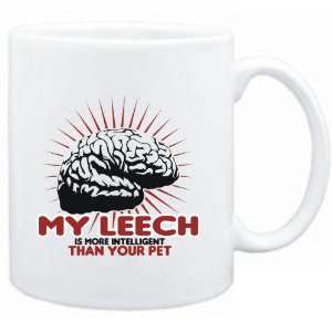   Leech is more intelligent than your pet  Animals