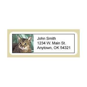  Abyssinian Cat Address Labels
