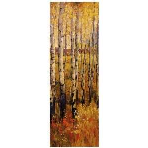   Forest II Finest LAMINATED Print Timothy OToole 13x37