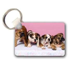 Cute English bulldog puppies Keychain Key Chain Great Unique Gift Idea