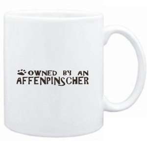    Mug White  OWNED BY Affenpinscher  Dogs