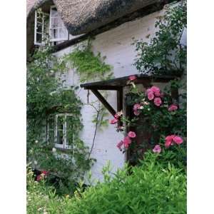 Cottage and Flowers, Wherwell, Hampshire, England, United Kingdom 