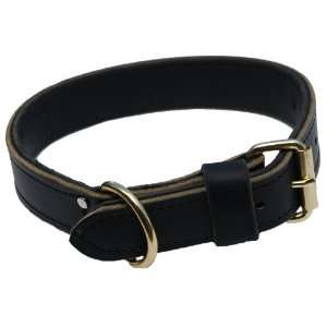    Signature K9 1 1/2 Inch Agitation Collar, Black