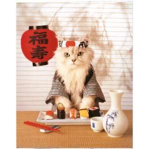  Sushi Cat Kitten   Photography Poster   16 x 20