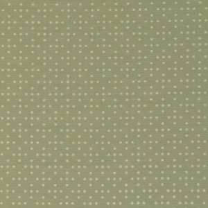  Fabricut Cootie Sage 2512705