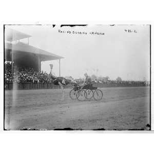  Mineola,race track,racing ostrich