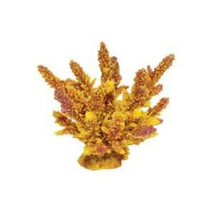  Coral Art   Acropora   Yellow