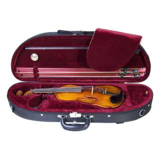 NEW 4/4 FULLY SET UP VIOLIN ~Solidwood Aged  7yrs  