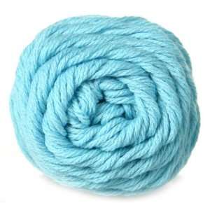  Brown Sheep Cotton Fleece Yarn   CW555 Robin Egg Blue 