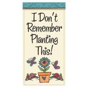 Funny Garden Sayings Mini Flag I dont Remember Planting 