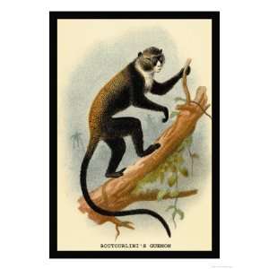   Guenon Premium Poster Print by G.r. Waterhouse, 24x32