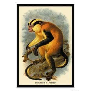   Guenon Giclee Poster Print by G.r. Waterhouse, 24x32