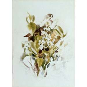     Charles Demuth   24 x 34 inches   White Lilacs