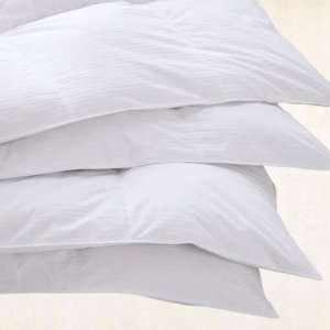  Variable Stripe Warm Down Comforter ( Twin )