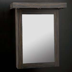  Lacava Wall Mount Medicine Cabinet W/ Mirrored Door & 3 Adjustable 