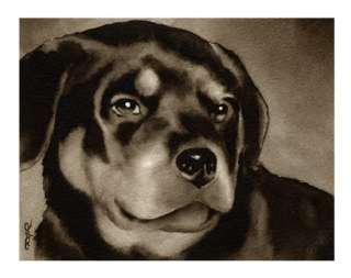 ROTTWEILER PUPPY Painting ART 13 X 17 Signed Artist DJR  