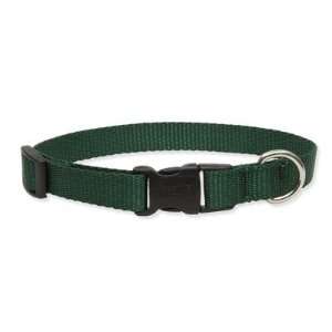 Lupine MSD dog collar Solid Color 3/4 Adjustable Medium 
