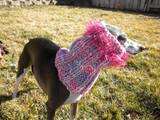 The snood you are bidding on as shown above is for a small dog