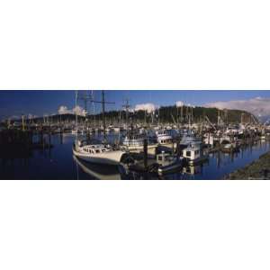  Sailboats Moored at Cap Sante Marina, Anacortes, Fidalgo 