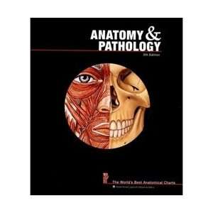 Anatomy and Pathology The Worlds Best Anatomical Charts   5th 