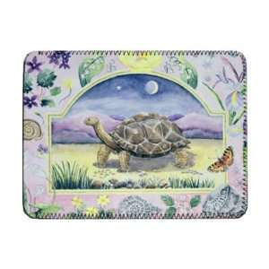  Giant Tortoise (month of May from a   iPad Cover 
