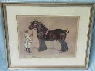 Rare Cecil Aldin Signed Numbered Draft Horse Print # 12  