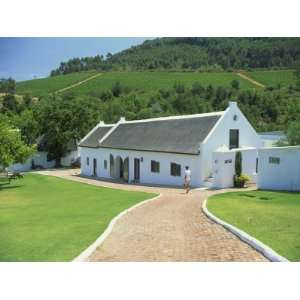  Morgenhof Estate, Wine Region, Cape Province, South Africa, Africa 